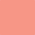 004 Pink Polka Dot