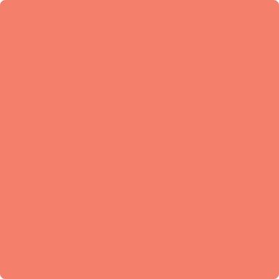 005 Tuscon Coral
