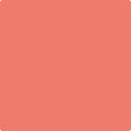013 Fan Coral