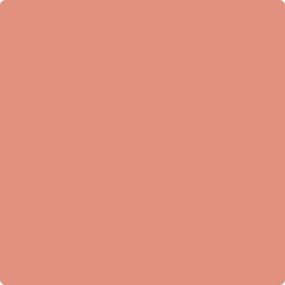032 Coral Rock