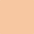 096 Soft Salmon