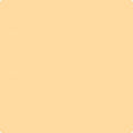 151 Orange Froth