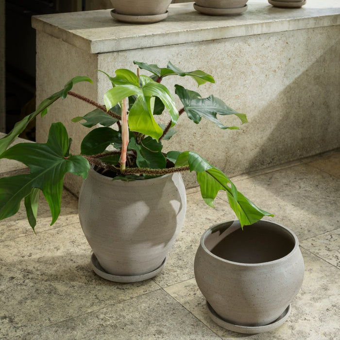 Delphi Pot