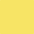 335 Delightful Yellow