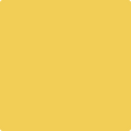 349 Yellow Brick Road