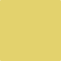 370 Yellow Tone