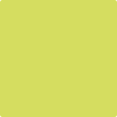397 Chamomile