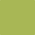 405 Perennial