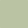 480 Lily Pad
