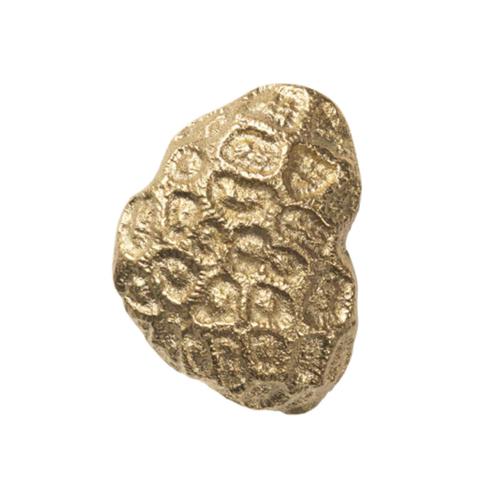 Comber Coral Hook