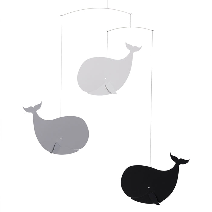 Happy Whales Mobile