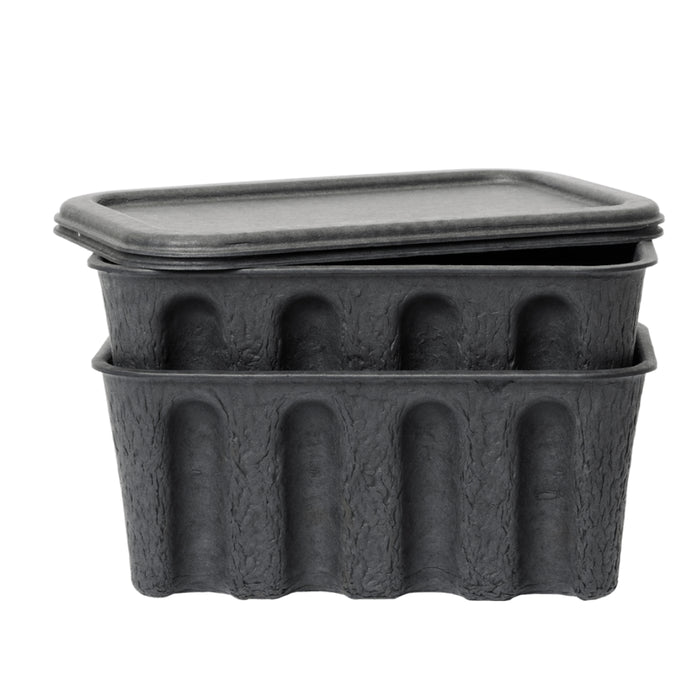 Small Paper Pulp Boxes | Set of 2 - Batten Home