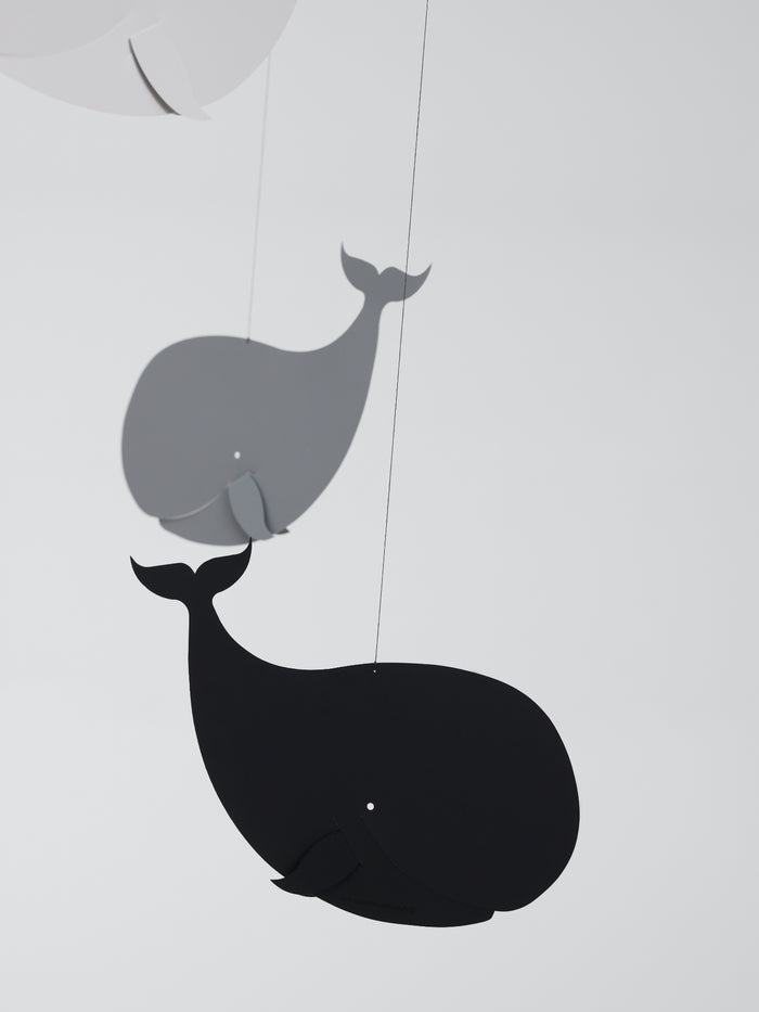 Happy Whales Mobile