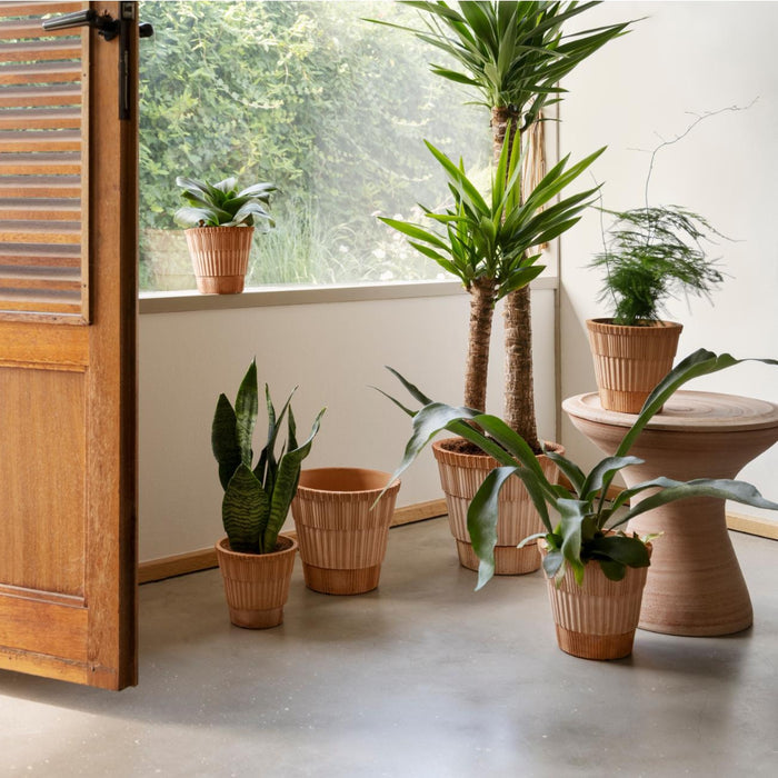 Celeste Planter Set - Batten Home