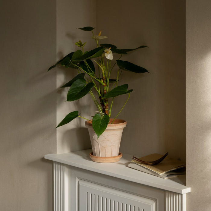 Fleur Pot