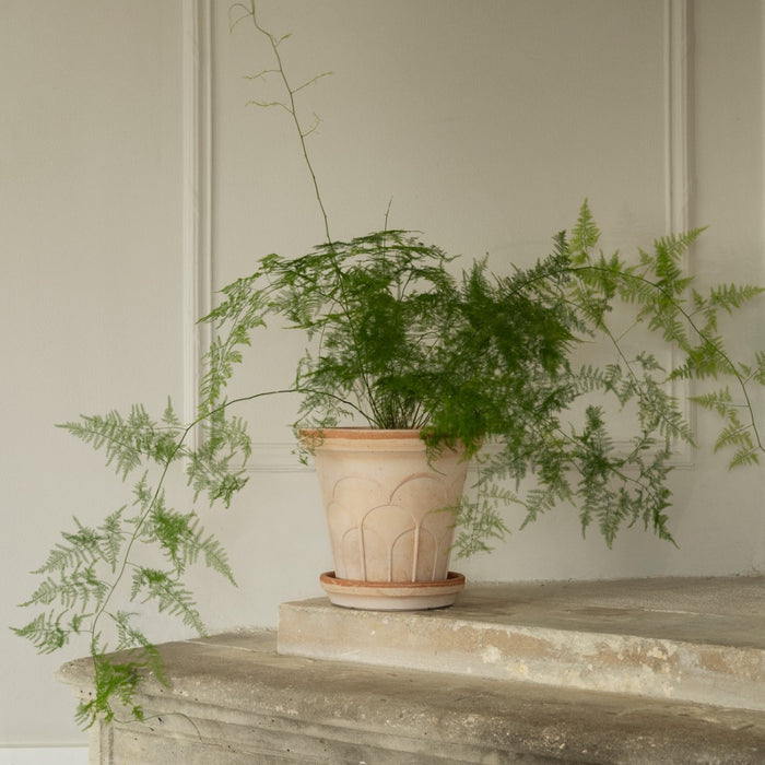 Fleur Pot