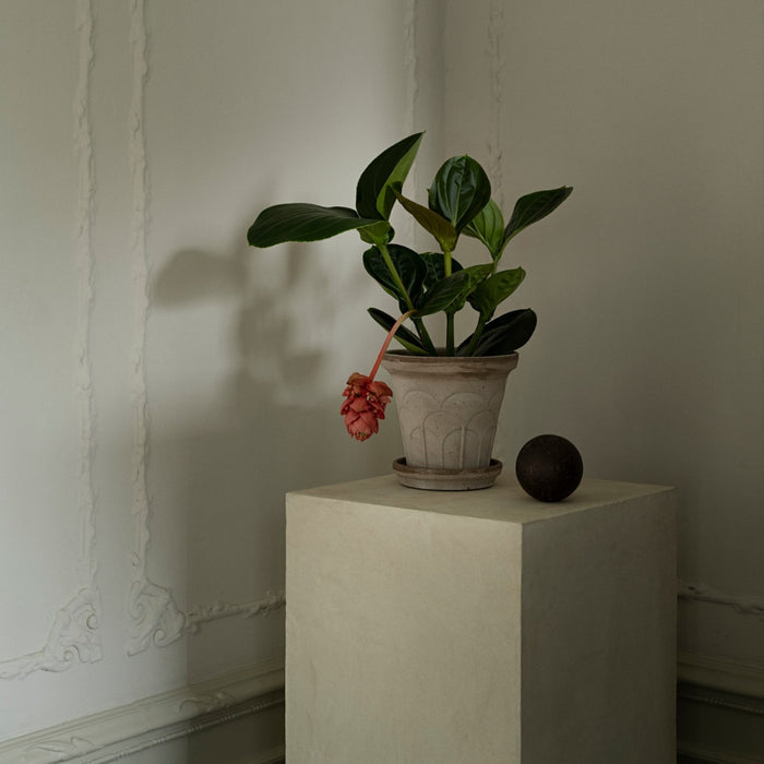 Fleur Pot