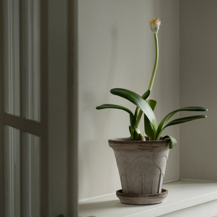 Fleur Pot