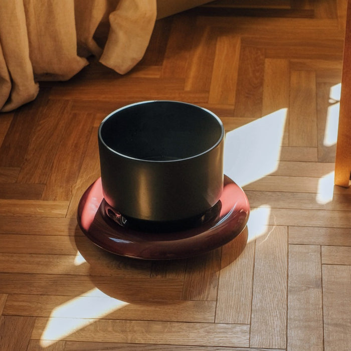 Lily Pot - Batten Home