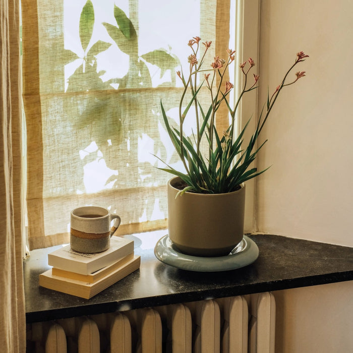Lily Pot - Batten Home