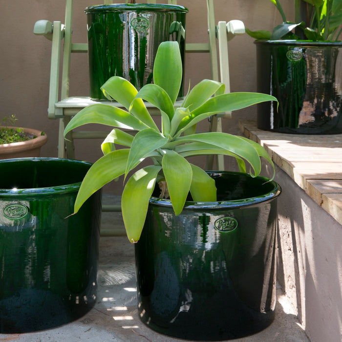 Modena Glazed Pot - Batten Home