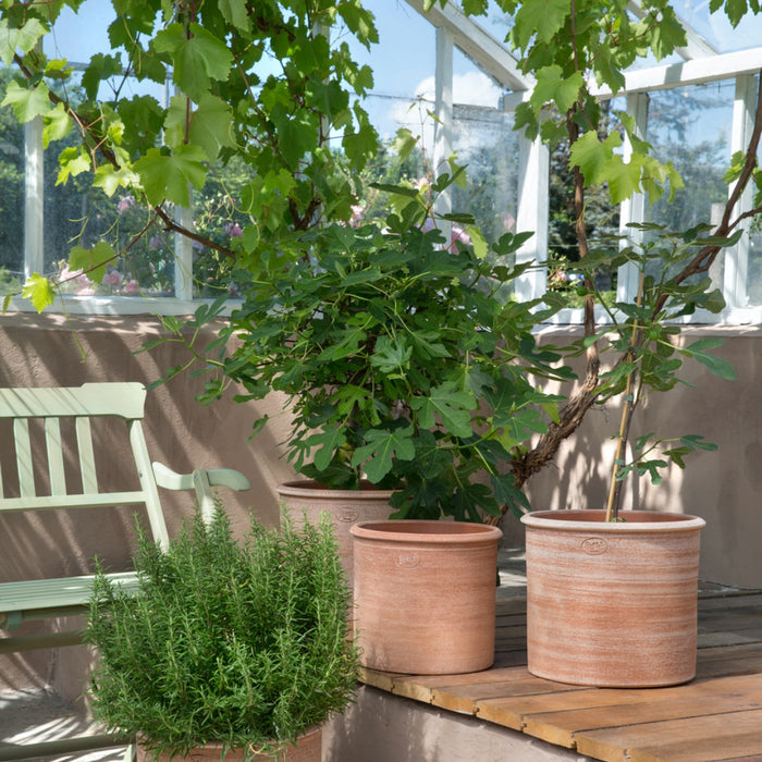 Modena Raw Pot - Batten Home
