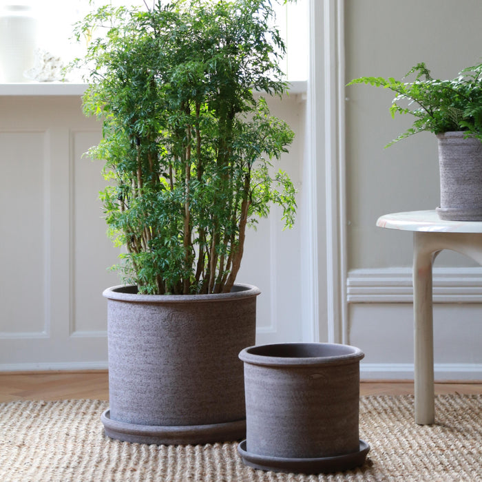 Modena Raw Pot - Batten Home