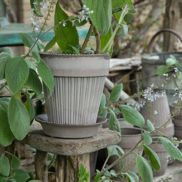 Simona Raw Pot - Grey - Batten Home