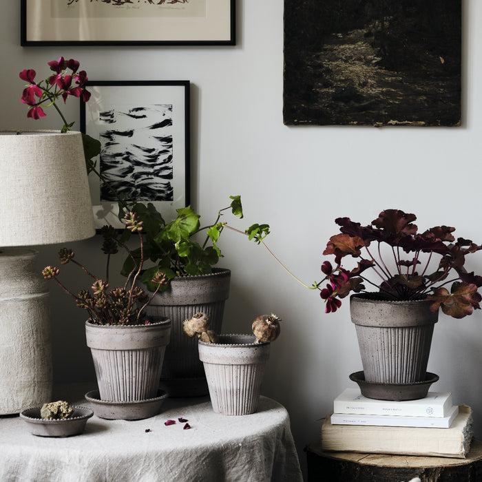 Simona Raw Pot - Grey - Batten Home