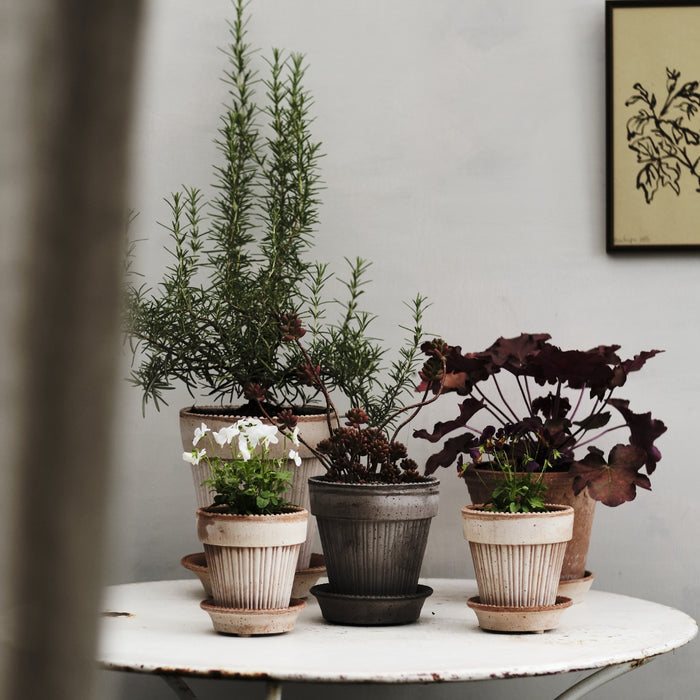 Simona Raw Pot - Grey - Batten Home