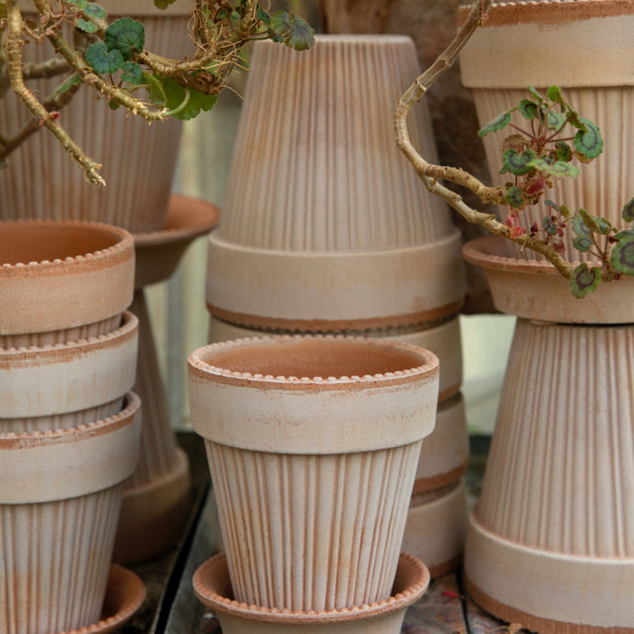 Simona Raw Pot - Rosa - Batten Home