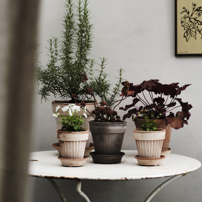 Simona Raw Pot - Rosa - Batten Home