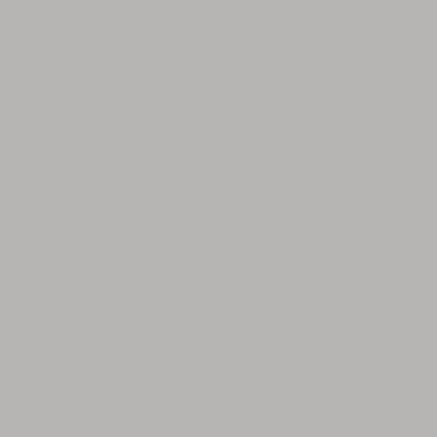 Benjamin Moore Color AF-674.50 Nightingale