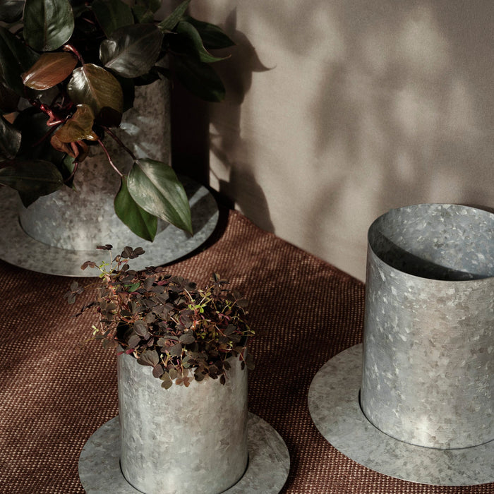 Auran Pot - Batten Home
