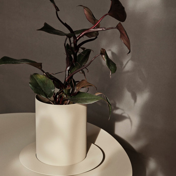 Auran Pot - Batten Home