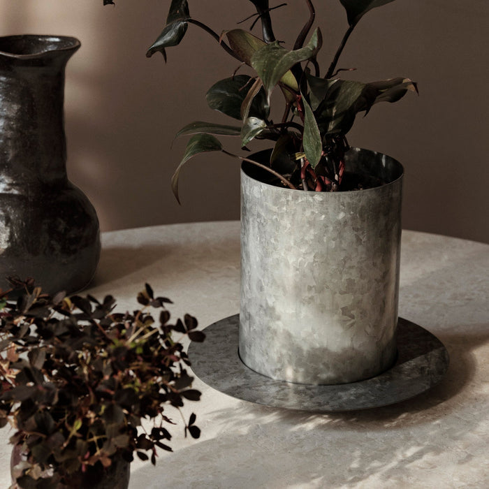 Auran Pot - Batten Home