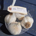 Bavarian Purple Hardneck Garlic - Sow True Seed