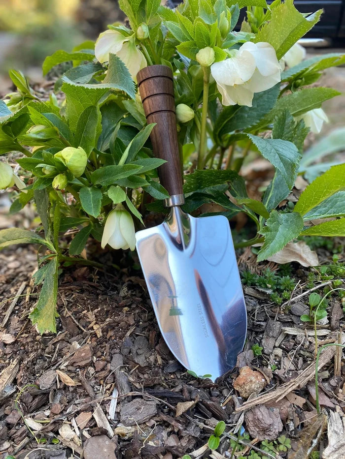 Bear Dog Designs Garden Tools - Sow True Seed