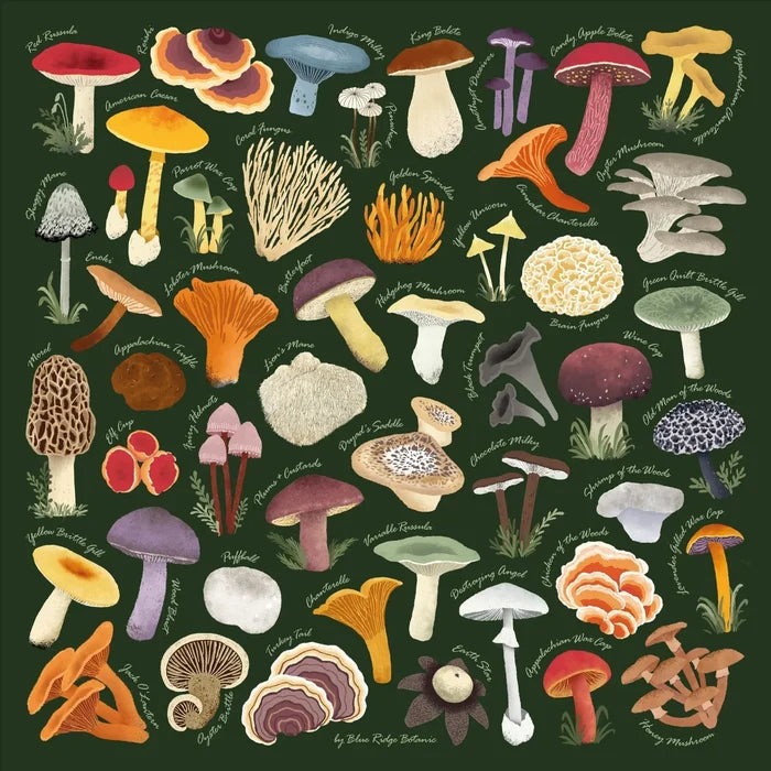 Blue Ridge Botanic Field Guide Bandanas - Sow True Seed