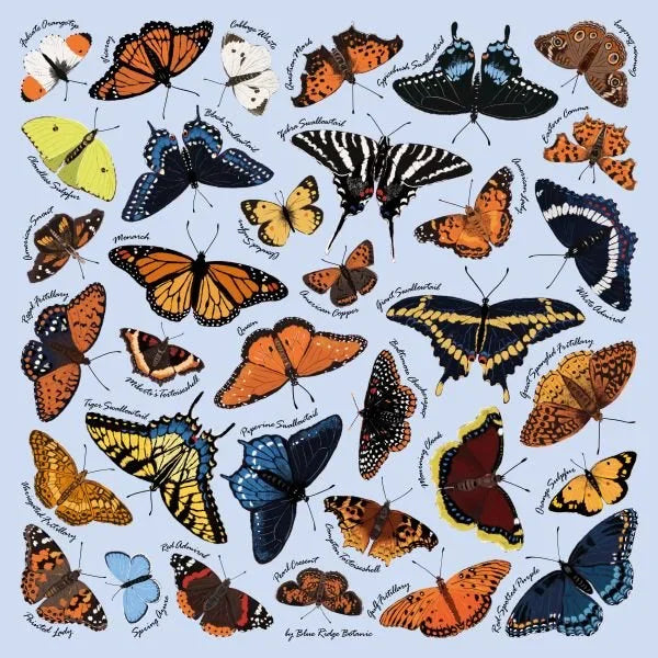 Eastern Butterflies / Antique Water