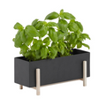 Botanic Collection - Batten Home