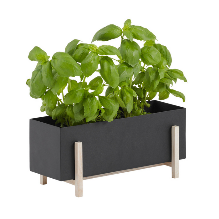 Botanic Collection - Batten Home