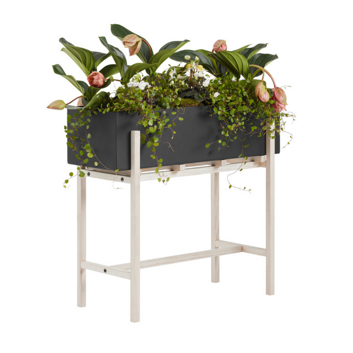 Botanic Collection - Batten Home