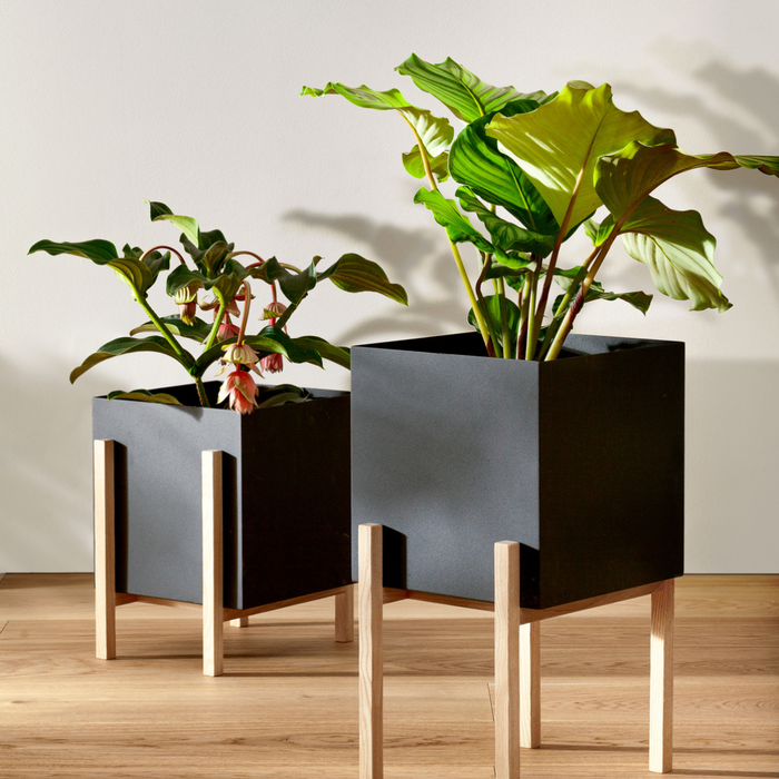 Botanic Collection - Batten Home