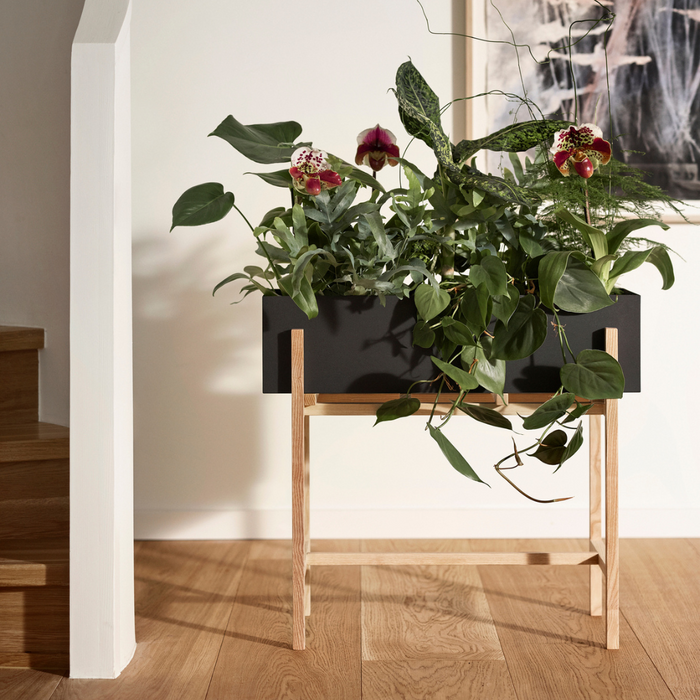 Botanic Collection - Batten Home