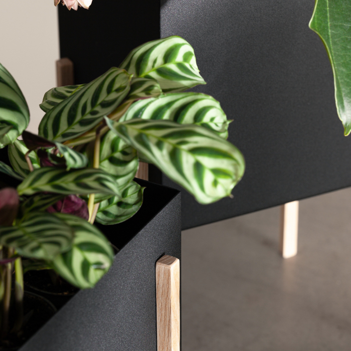 Botanic Collection - Batten Home