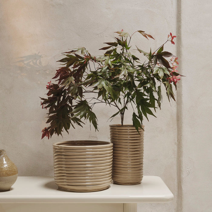 Corduroy Pot - Batten Home