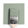 Benjamin Moore Colour CSP-775 Sage Wisdom