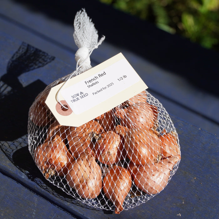 French Red Shallots - Sow True Seed