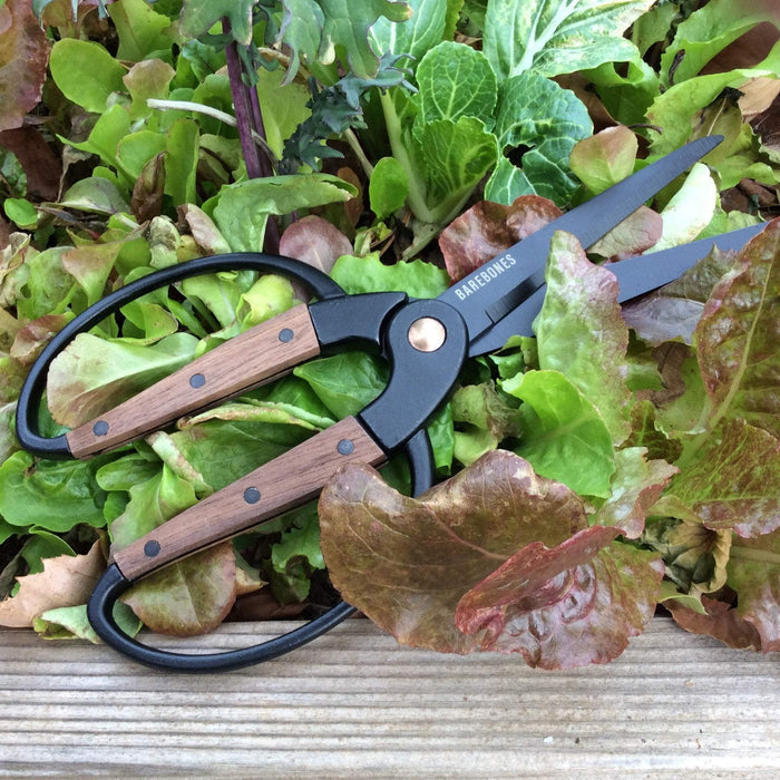 Large Garden Scissors - Sow True Seed
